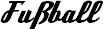 Fußball